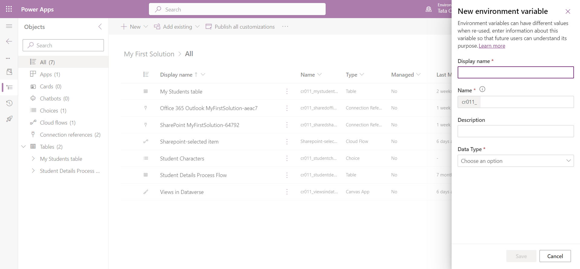 Environment variables in Solution