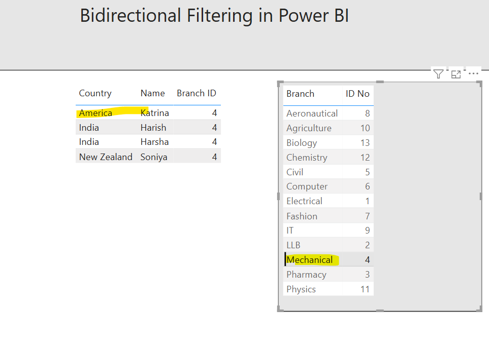 Bidirectional Filtering in Power BI Bidirectional Filtering in Power BI