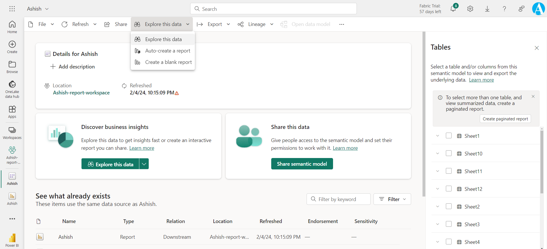 Semantic Model in Power BI Service