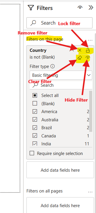 Filters Pane in the Power BI Filters Pane in the Power BI